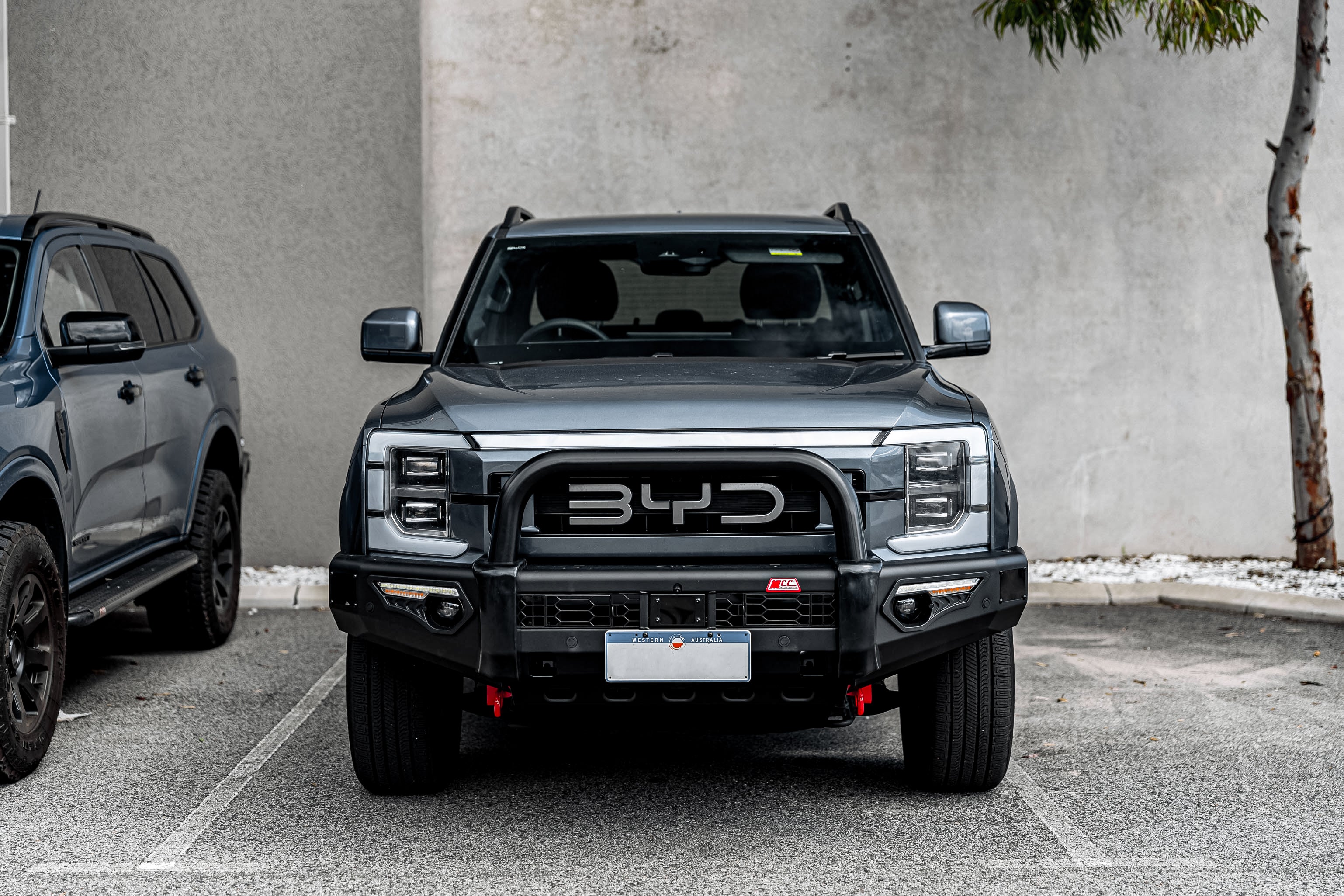 BYD Shark 6 2025-On 808-01 Phoenix Bull Bar Single Sand Black Loop Package (Sand Black) - Image 3